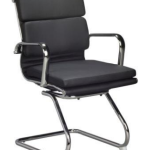 Classic Cushion Visitor Chair