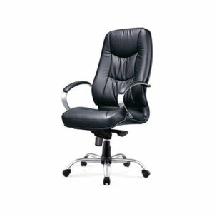Karoo Exec Leather Chair