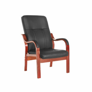 Montagu Visitor's Chair