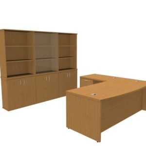 Discovery Executive & DH Ped BM