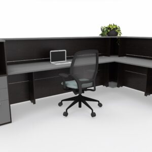 Salon Reception L Shape